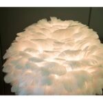 ⁦اضاءة اباجورة جانبية شيك من الريش الطبيعى⁩ - الصورة ⁦3⁩