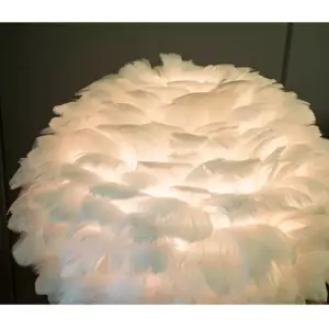 اضاءة اباجورة جانبية شيك من الريش الطبيعى 