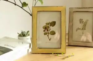 ديكور براويز صور 